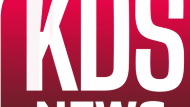 kahidebesandes logo